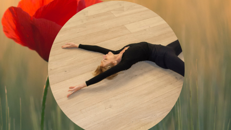 NOUVEAU : Cours hebdo de WUTAO SOL mardi 19h30-20h30 • Paris Sud