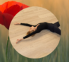 NOUVEAU : Cours hebdo de WUTAO SOL mardi 19h30-20h30 • Paris Sud