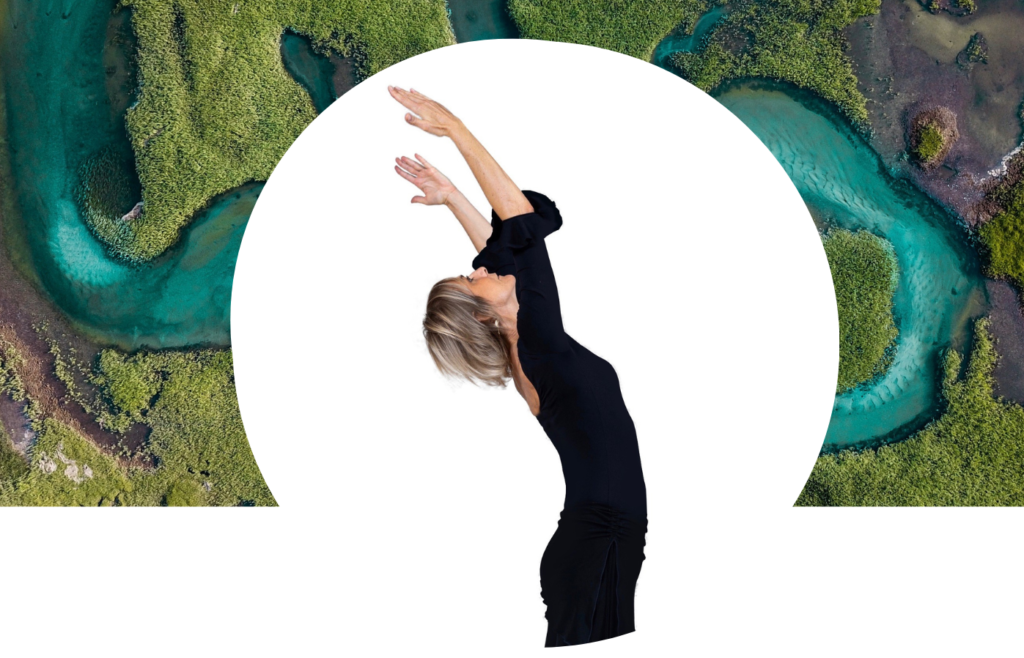 Stage de Wutao® dimanche 22 novembre 2026 10h-16h • Paris Sud